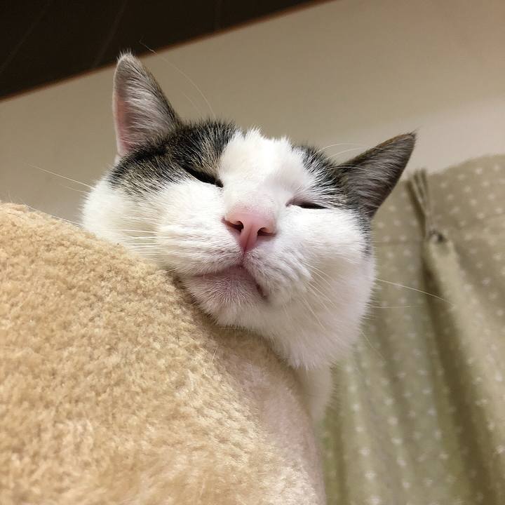 83cb6623 4f15 493f 89fa b3502eae8bbd 1660050331761