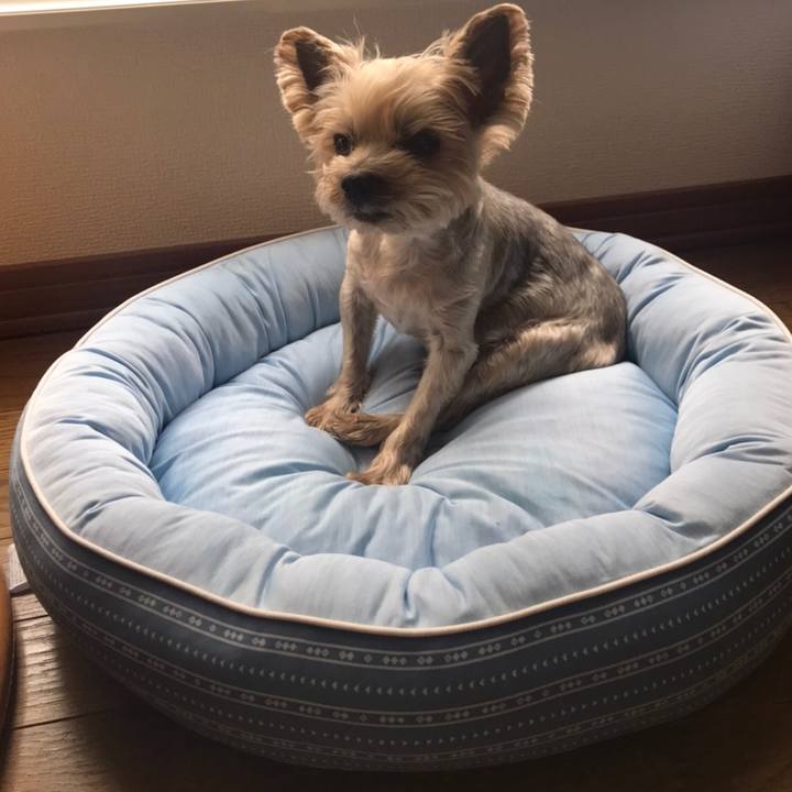 83cbb8fa 9bf1 4ba5 8b4f ff8e55ac54af 1592214804749