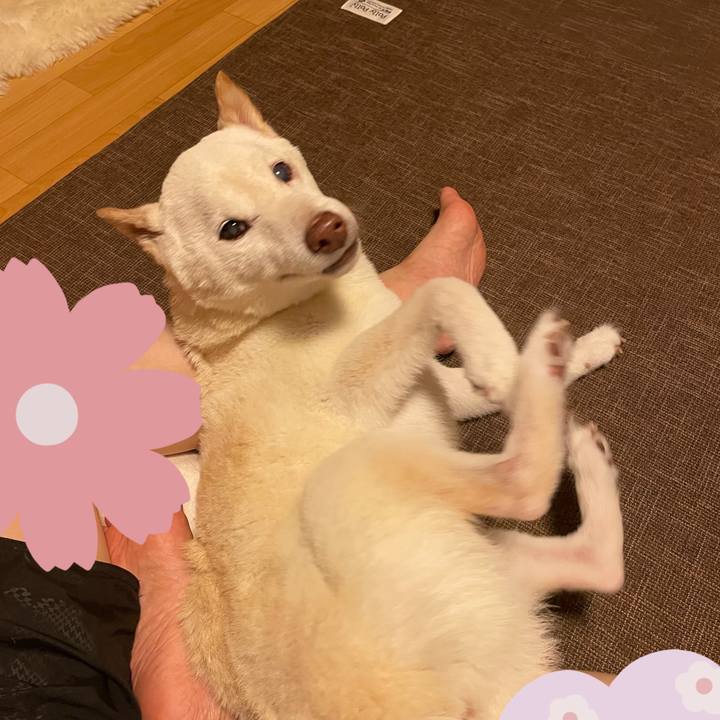 83cbe478 4655 4153 93a5 039a8e812ccc 1664121724774