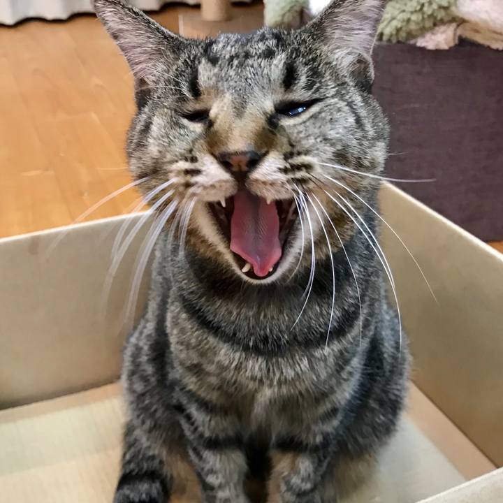 83cbfc79 a8e5 4ff5 b39c f168e8d8b195 1598438888310