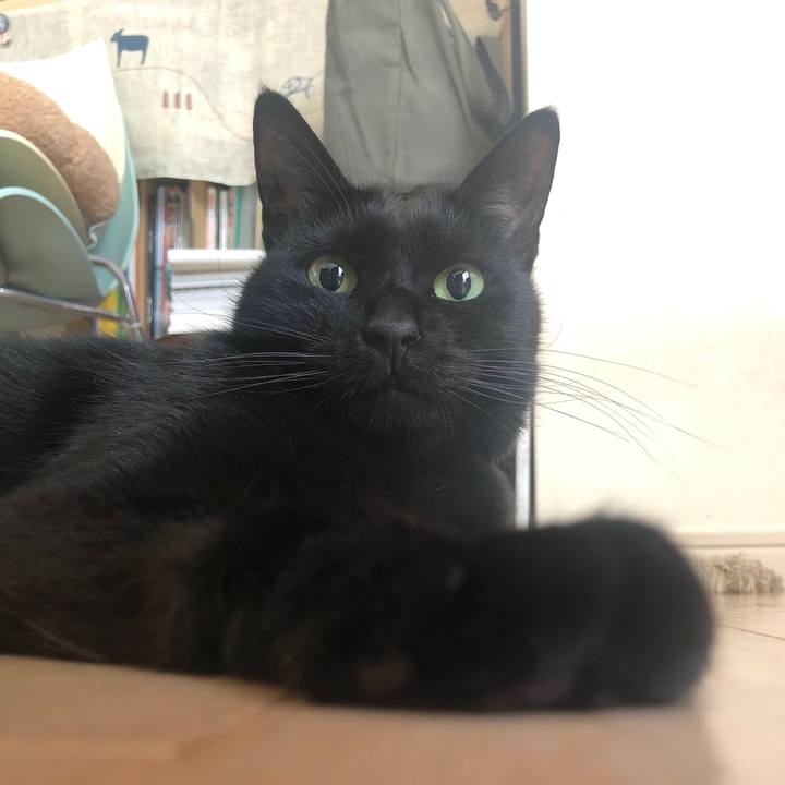 83cc2f6e 0e94 4f07 941f e24df5abd443 1577762701980