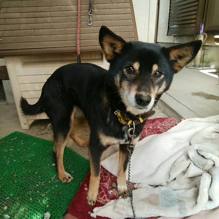 83cc46bd 7aba 418b be45 5549cae83463 1549074544462