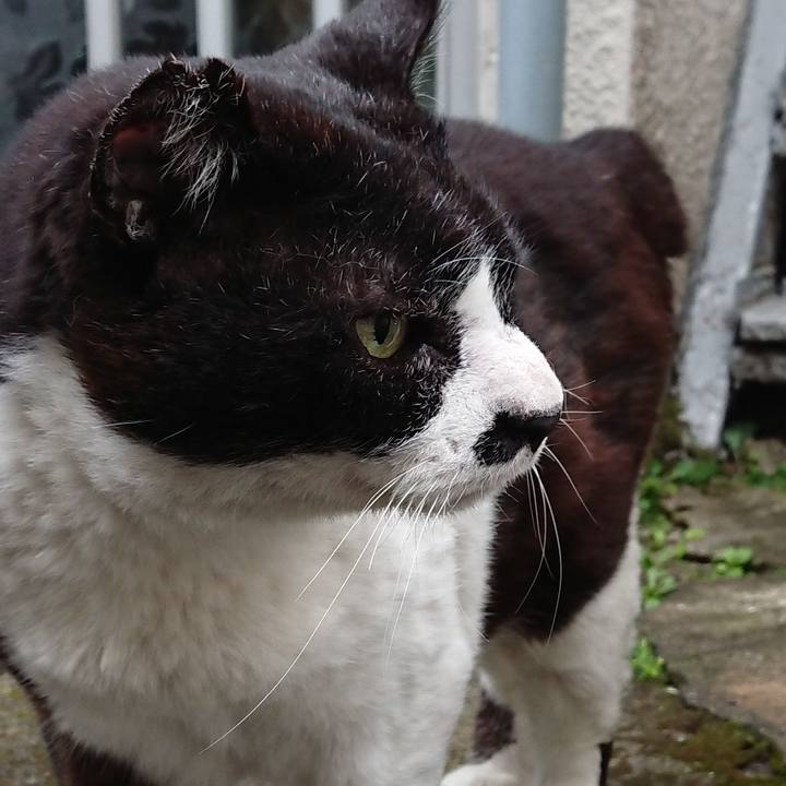 83cc6eb5 40e3 4bec ac3c c1af7798d312 1619667450191