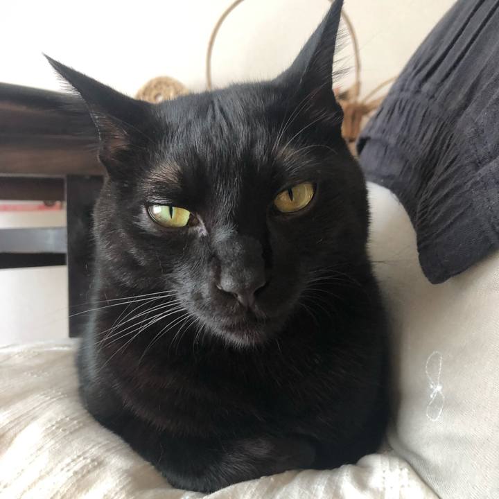 83cc8c57 bb25 4de0 a9f0 1fd64e6444aa 1568095745272