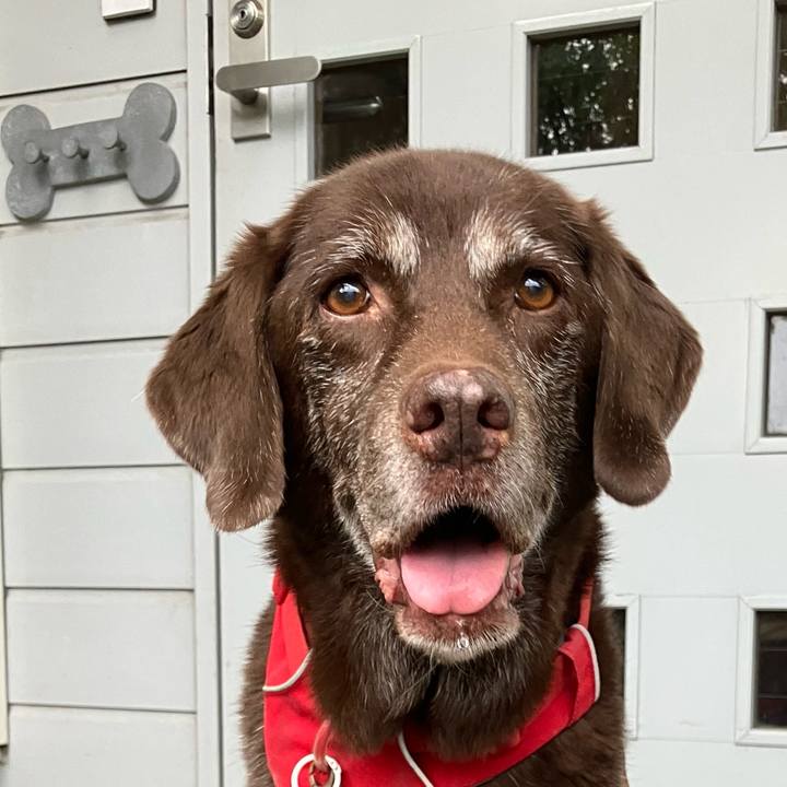 83cc8c7e 8d96 44b7 bf08 26b2071409f4 1759190124366