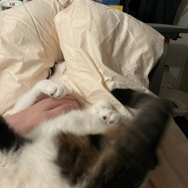 83ccba8a 4743 42d3 a1d1 48727b29ac7f 1765847976684