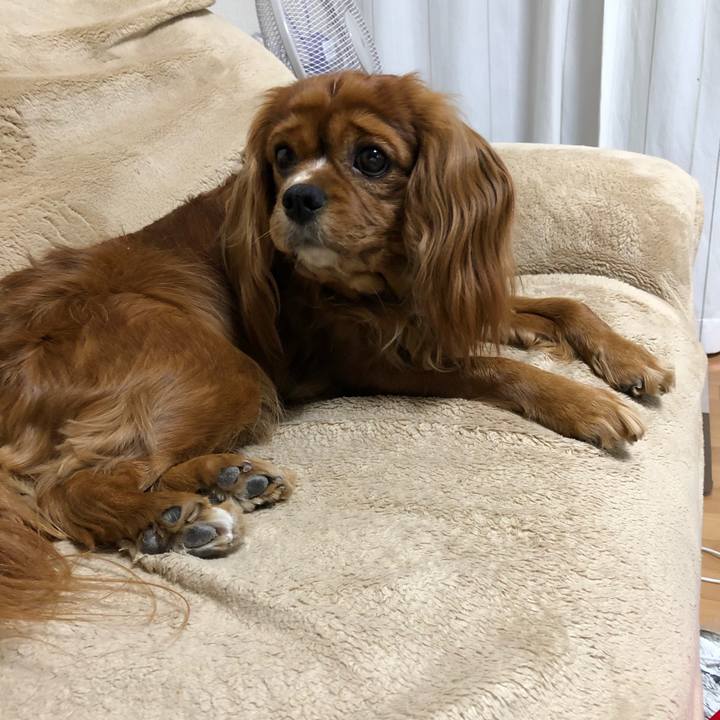 83ccedcc 75a8 4bb6 8158 e96771c69b95 1614515140353