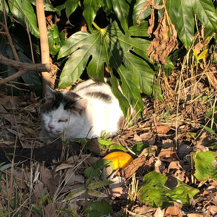 83cd0ee8 be82 44de b8c9 b812e1943d4c 1551087605097