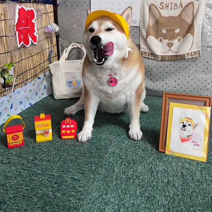 83cd3831 937c 4278 b71f b2aa7c90cb9c 1689303769902