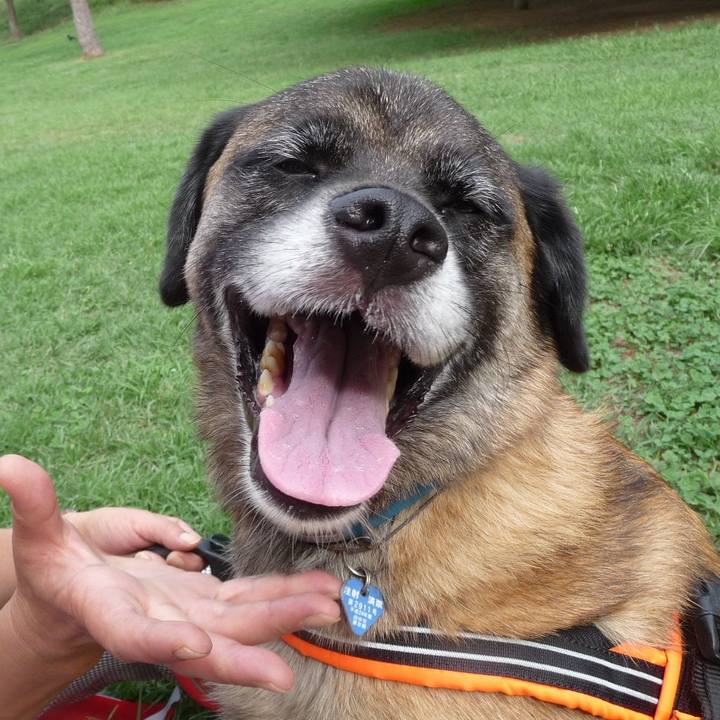 83cd5936 d0d0 4728 bdfa f6ac43081d04 1578264369024