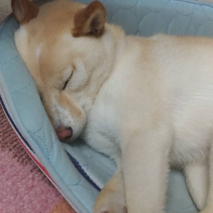 83cd7549 a8cd 4d4c b7b7 251077e87031 1559222998703