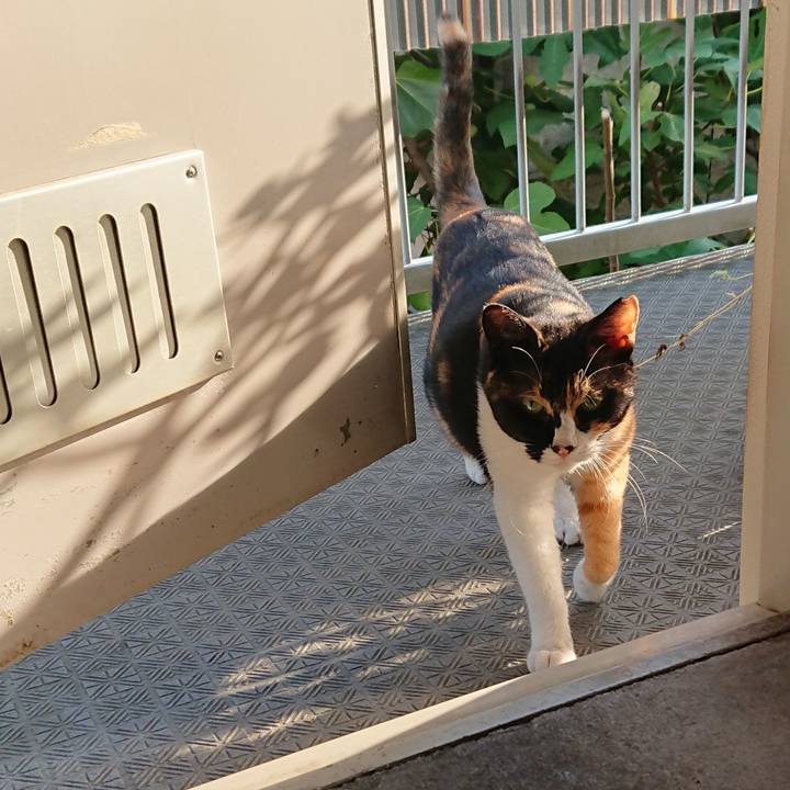 83cd845b ba5f 4b66 b5d9 01f96626906c 1535665287033