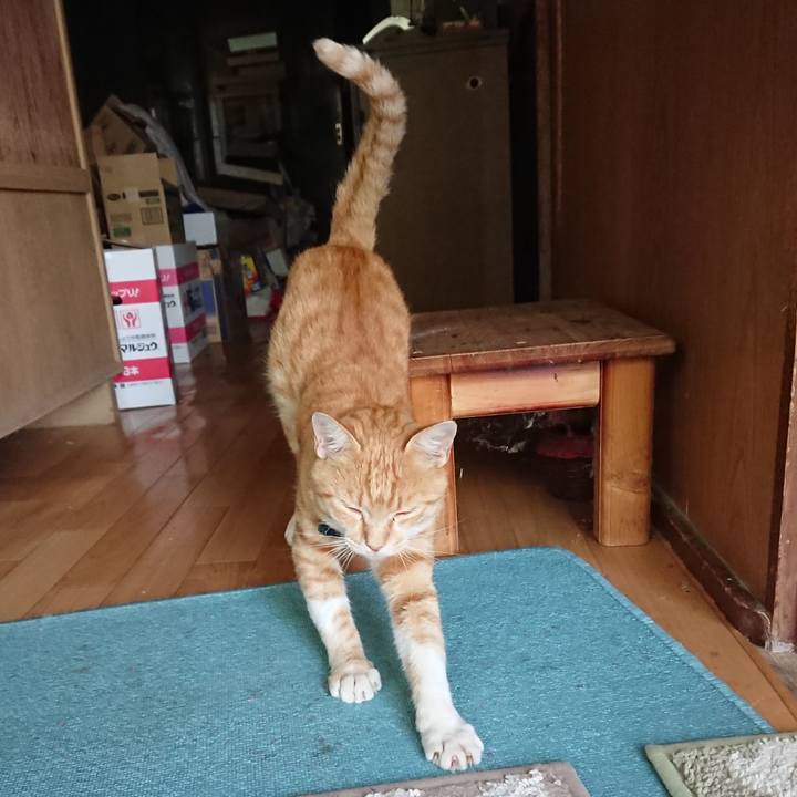 83cd8a36 d2d7 40d6 a1e3 0293ba8d76fc 1563526799400