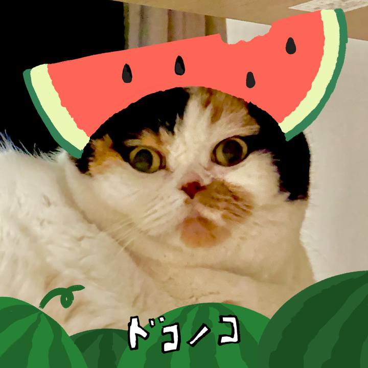 83cdb2b2 69af 4848 aaaa 49e6af329e82 1720762815601