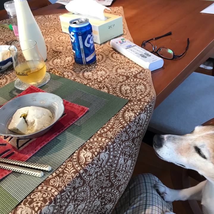 83cdb541 5380 43f2 b6ef 5dafae24912d 1559816297354