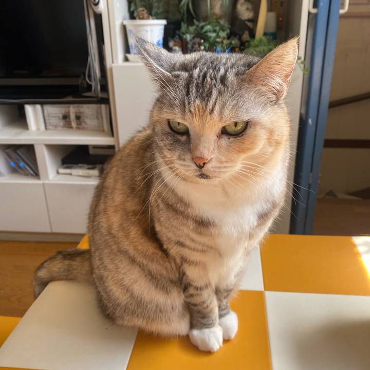 83cdbafd 2b82 4de7 8f83 e9c47213c8d8 1710900040374