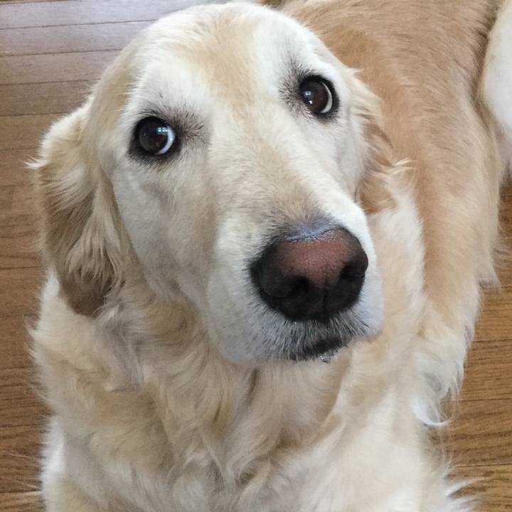 83cddaf9 0dc2 4b1b b1d8 c97c09e271f8 1528838973058