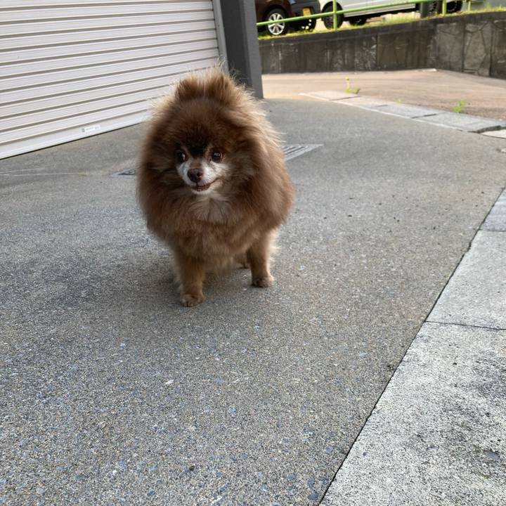 83cde421 9477 435a 85a8 97a2e0e84698 1720734603528