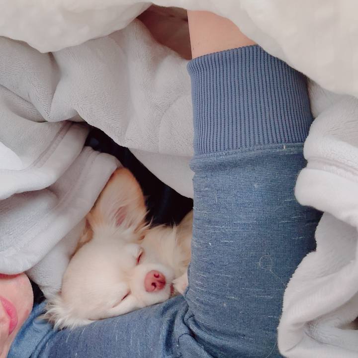 83cdea77 6b9c 4ba9 a783 790ef85435c0 1702702435178