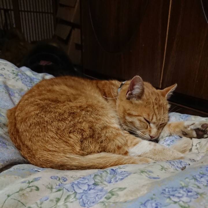 83cdffc2 59dc 4e1f ba15 396b6a452f78 1588247855263