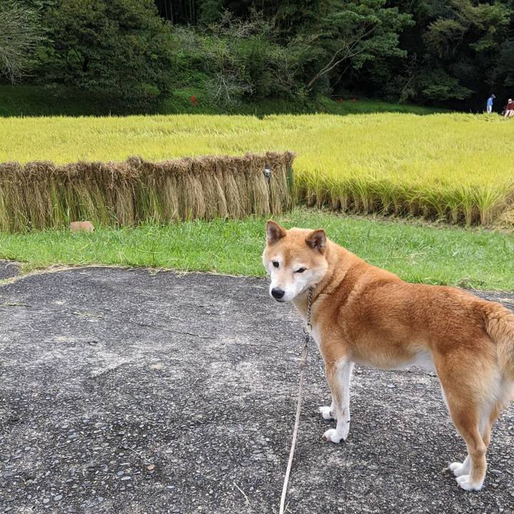 83ce118c d6c0 4bf7 8727 0c8ad5357fc1 1664451044126