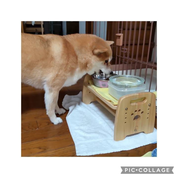 83ce1ae3 d404 4f82 b9a6 4cc58d013a6e 1754875339541