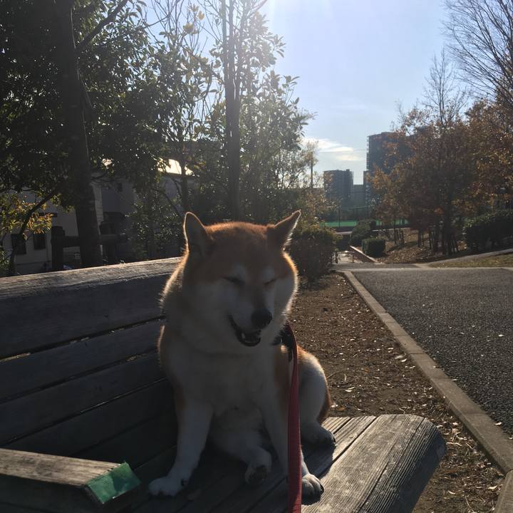 83ce1c27 7538 4320 9ea2 6c82a4cbf7a1 1606798320641