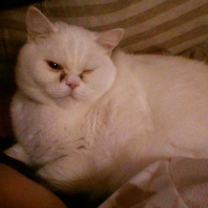 83ce3b2b 89a6 41de a1b2 edc80a1d67df 1518307356932