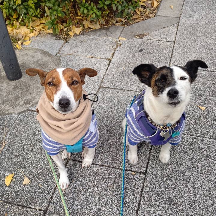 83ce3d21 9e34 4de9 ba55 f48c22cd84cd 1672453509672