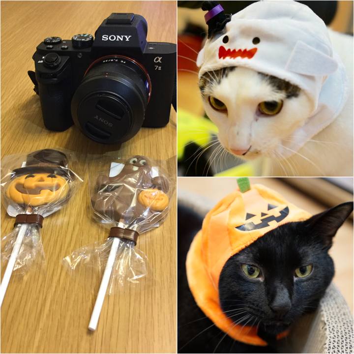 83ce4b25 d16f 4643 b171 b6f0ea613d37 1509453339827