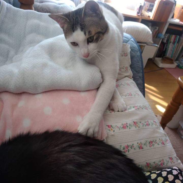 83ce5842 8229 47ef 8fed be31cec72587 1653296071535