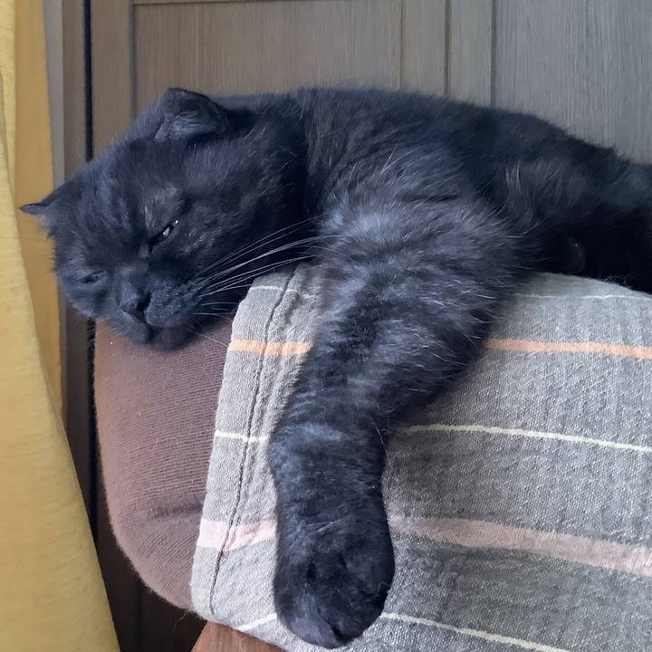 83ce8095 2da4 4591 890d e2155e3cb2b0 1594956615414