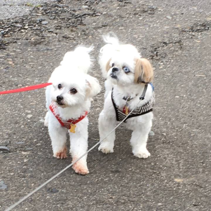 83ced632 b6ce 45a1 afc7 fa93fc1667ec 1593084043635