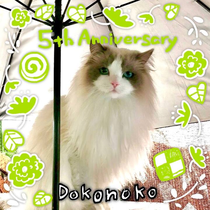 83ced6f5 f81a 4447 871c 22300842acea 1622881949668