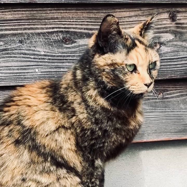 83ceec26 0033 482a 9240 db9b392cd146 1741919365248