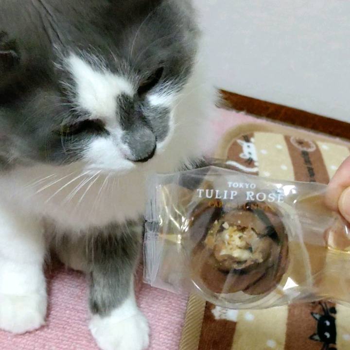 83cf1ece abae 4440 b919 bba335d1ba15 1608722704804