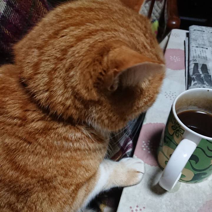 83cf6003 f9db 49df a876 b6aa3347df44 1578688995608