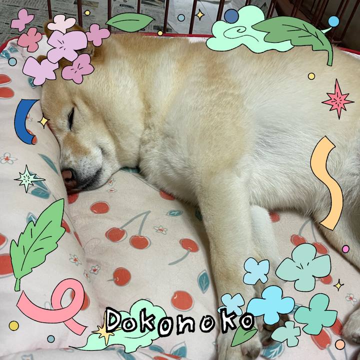 83cf71b2 3ec7 4baf bfbf c7be75bf37be 1718027523733