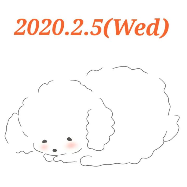 83cf8207 f087 48e9 b494 5231c2e22418 1580904647517