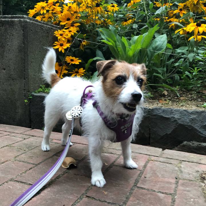 83cfb9ad c3b2 4dca beea bc408b8bb4ff 1698408261773