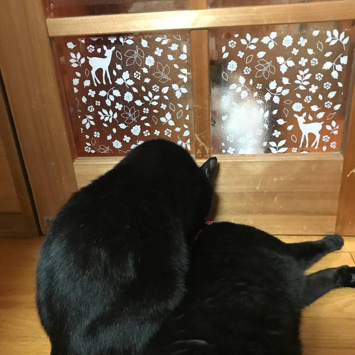 83cfcd96 5c64 465f a330 1cb0cc2c4ed2 1527774259652