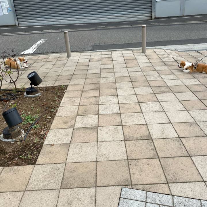 83cfd915 a73e 4c70 8572 8b594c7d985a 1596327467780