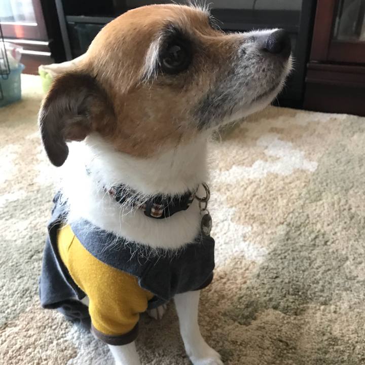 83cfd930 34f8 456a ae61 ec6772888f1e 1518056406244