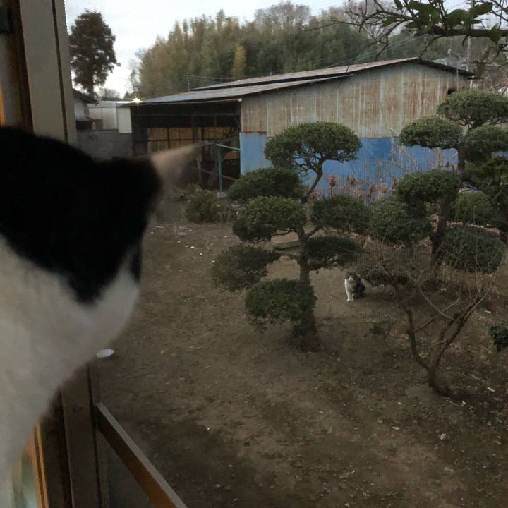 83d01290 1b54 43f7 85e2 93a853335a60 1550652501217