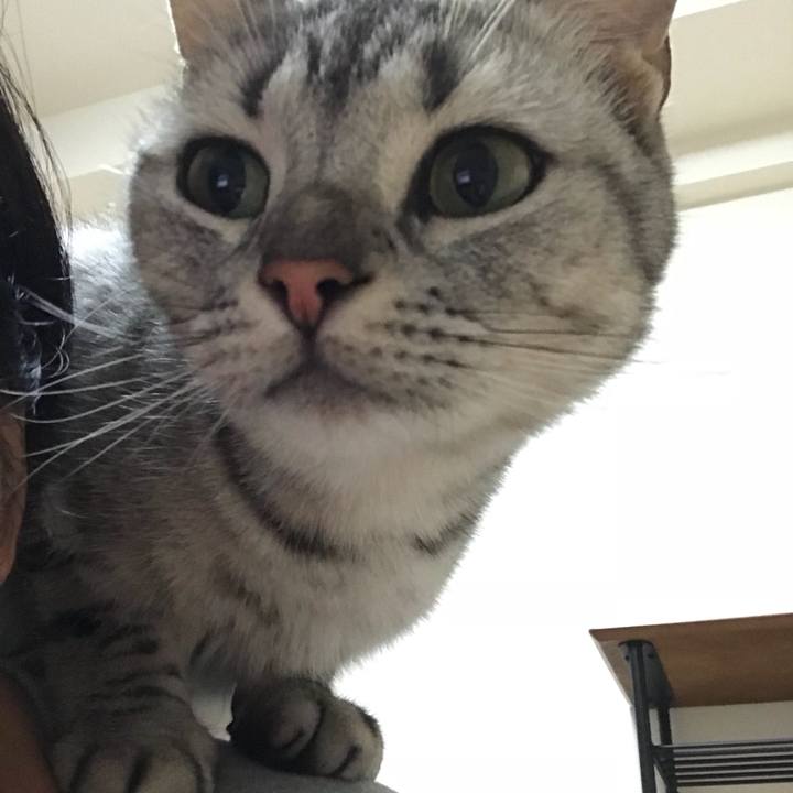 83d031f4 f84b 4bdb b561 2315c48b472b 1538215480051