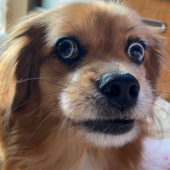 83d04300 f6b7 4a7c 818b 8ede6973f627 1673054656010