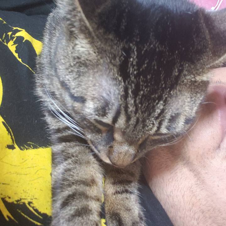 83d04b14 408a 4a89 a75b 6653a3429204 1562163567903