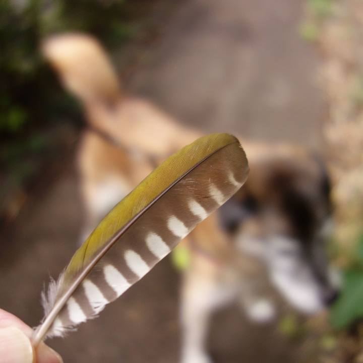 83d0aa21 21cf 4444 88e0 0b3448001767 1565568784216