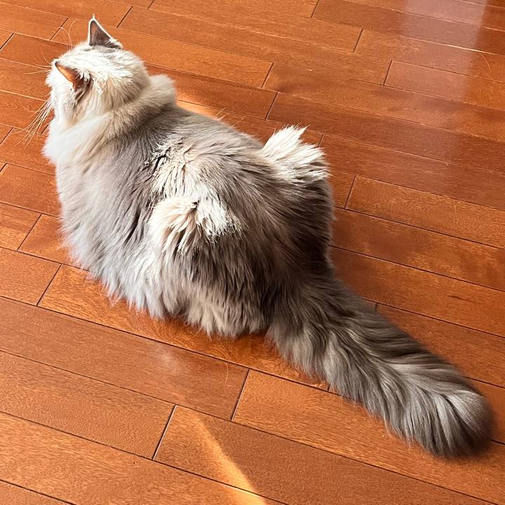 83d0cbc5 df9a 4cb6 afcc 637c4860955a 1670053406361