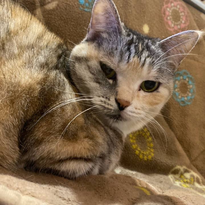 83d0e265 4764 49bd 916d 2912e11f76d7 1669994839091